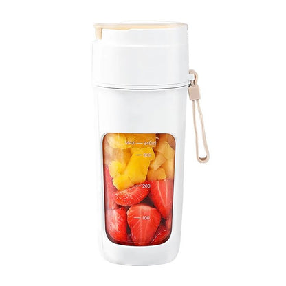 Portable USB Rechargeable Juicer Blender 500ml (HP-890)